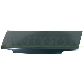 Capot-moteur PRASCO FT9203100