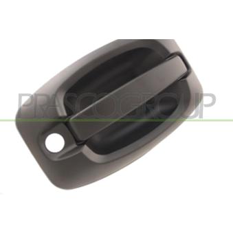 Poignée extérieure de porte PRASCO OEM 735469968