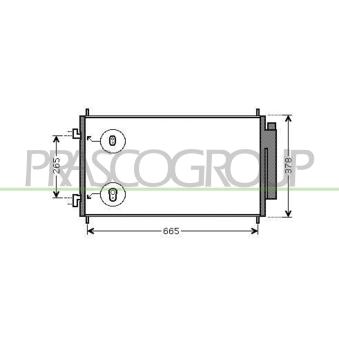 Condenseur, climatisation PRASCO OEM 80110SWWG01