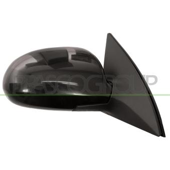 Rétroviseur extérieur PRASCO OEM 876202L300CA