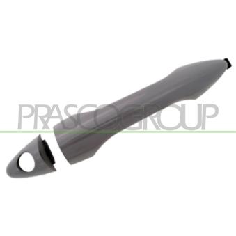 Poignée extérieure de porte avant gauche PRASCO HN8048004