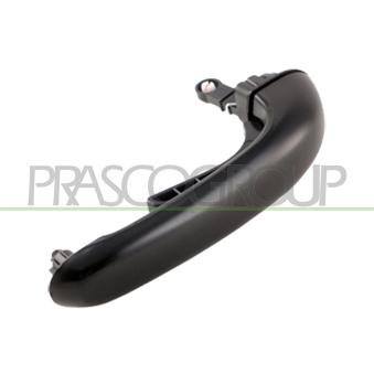 Poignée extérieure de porte PRASCO HN8168303