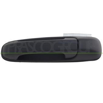 Poignée extérieure de porte PRASCO JE0118301