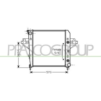 Radiateur, refroidissement du moteur PRASCO [JE011R001]