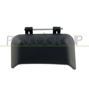 Poignée extérieure de porte arrière droit PRASCO JE0308101