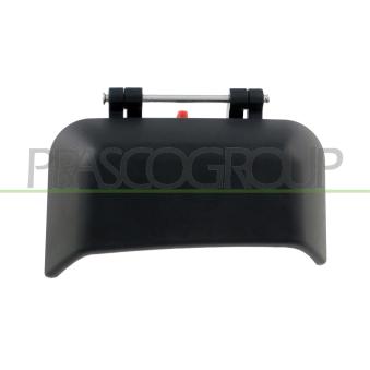 Poignée extérieure de porte arrière gauche PRASCO JE0308102