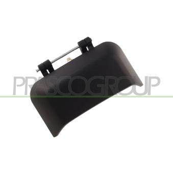 Poignée extérieure de porte arrière droit PRASCO JE0308103