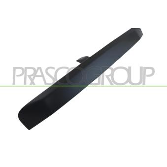 Poignée extérieure de porte PRASCO JE0308303