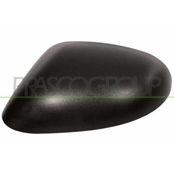 Revêtement, rétroviseur extérieur PRASCO LA0027404