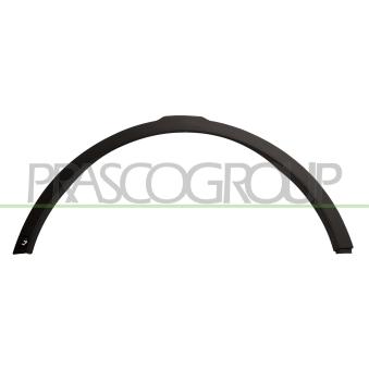 Baguette et bande protectrice, aile avant gauche PRASCO OEM lr044280