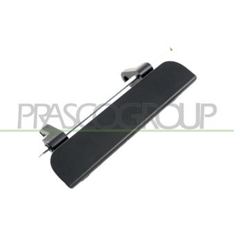 Poignée extérieure de porte PRASCO MB8218801