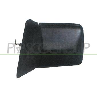 Rétroviseur extérieur PRASCO OEM 1248100116