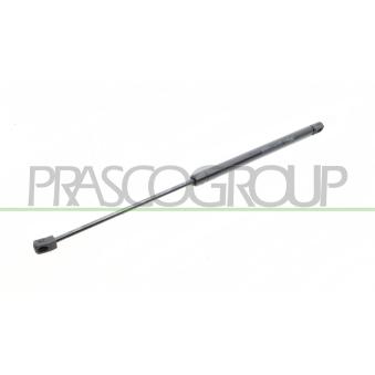 Vérin de hayon, de coffre PRASCO [ME3209055]