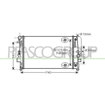 Radiateur, refroidissement du moteur PRASCO OEM 6395010701