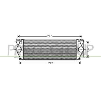 Intercooler, échangeur PRASCO OEM 9065010101