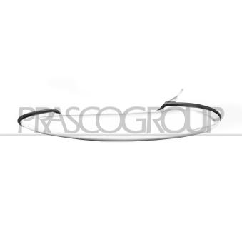 Poignée extérieure de porte avant gauche PRASCO MN3048006 Poignée extérieure de porte avant gauche PRASCO MN3048006