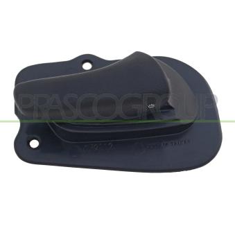 Poignet de porte, équipment intérieur avant droit PRASCO [OP0288401]