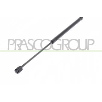 Vérin de hayon, de coffre PRASCO [OP0309055]