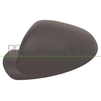 Revêtement, rétroviseur extérieur PRASCO OP0607404