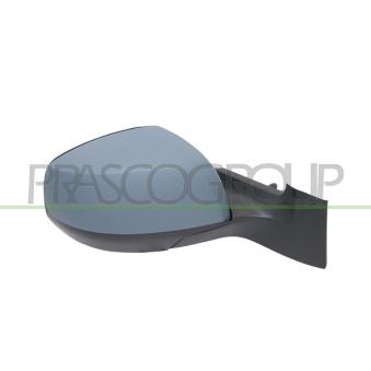 Rétroviseur extérieur PRASCO OEM 1428565