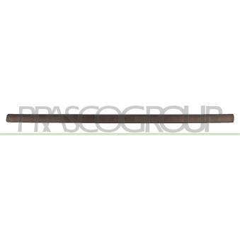 Baguette et bande protectrice, porte avant droit PRASCO OEM 93393615