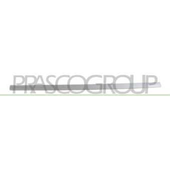 Baguette et bande protectrice, porte avant gauche PRASCO OEM 13113510