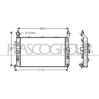 Radiateur, refroidissement du moteur PRASCO [OP350R001]