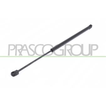 Vérin de hayon, de coffre PRASCO [OP7159055]