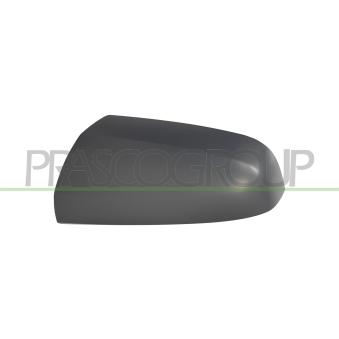 Revêtement, rétroviseur extérieur PRASCO OEM 1428383