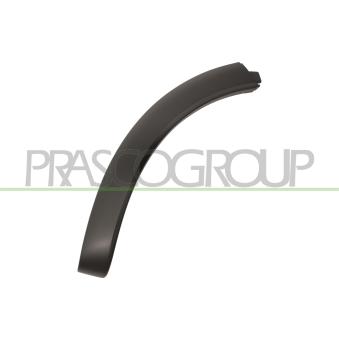 Élargissement, aile arrière droit PRASCO OEM 95855999050G2X
