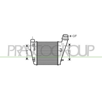 Intercooler, échangeur PRASCO RN306N001