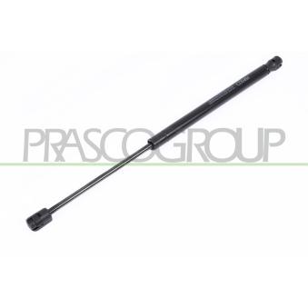 Vérin de hayon, de coffre PRASCO OEM 8200051750 Vérin de hayon, de coffre PRASCO OEM 8200051750