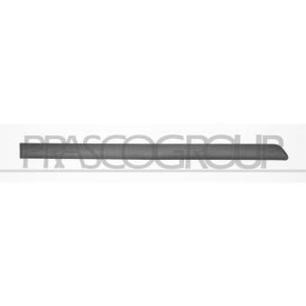 Baguette et bande protectrice, porte arrière droit PRASCO SK0241453