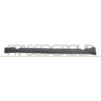 Enjoliveur de seuil avant droit PRASCO TS3001403 Enjoliveur de seuil avant droit PRASCO TS3001403