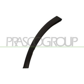 Baguette et bande protectrice, aile avant gauche PRASCO TY2911572 Baguette et bande protectrice, aile avant gauche PRASCO TY2911572