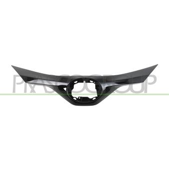 Cadre, grille de radiateur PRASCO OEM 53111F4902
