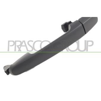 Poignée extérieure de porte arrière droit PRASCO TY8188111 Poignée extérieure de porte arrière droit PRASCO TY8188111