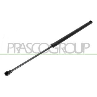 Vérin de hayon, de coffre PRASCO [VG0329055]