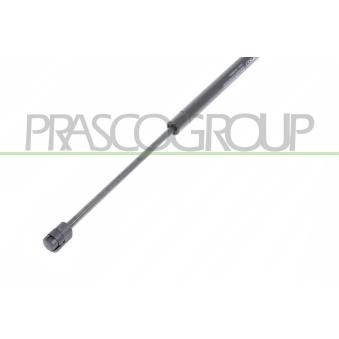 Vérin de hayon, de coffre PRASCO [VG0369055]