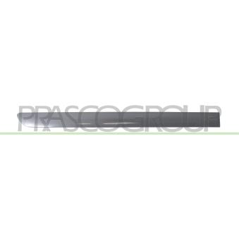 Baguette et bande protectrice, porte arrière droit PRASCO OEM 1K4853754AGRU