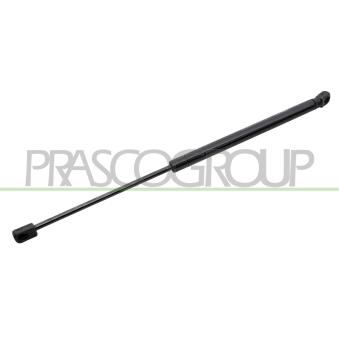 Vérin de hayon, de coffre PRASCO VG0409055 pour CITROEN C15 2.0 TDI - 110cv
