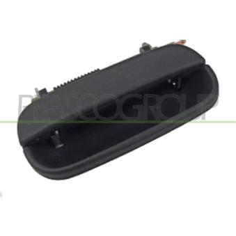 Poignée extérieure de porte PRASCO OEM 3A0839205A Poignée extérieure de porte PRASCO OEM 3A0839205A