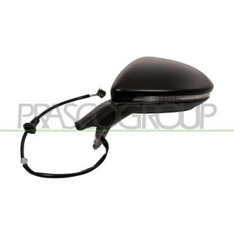 Rétroviseur extérieur PRASCO [VG4007312P]