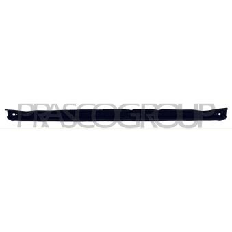 Traverse PRASCO [VG4203206]