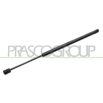 Vérin de hayon, de coffre PRASCO [VG7159055]
