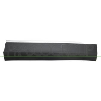 Baguette et bande protectrice, porte avant droit PRASCO VG8101413