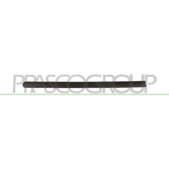 Baguette et bande protectrice, porte arrière droit PRASCO VG9041453