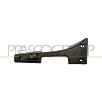 Poignet de porte, équipment intérieur arrière droit PRASCO VG9528501