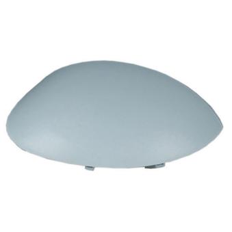 Revêtement, rétroviseur extérieur SPILU OEM 815243