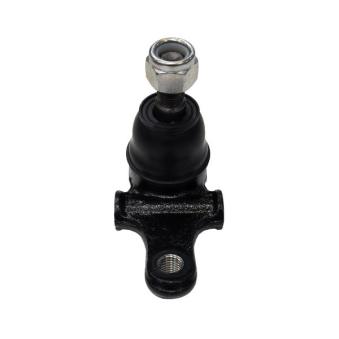 Rotule de suspension CTR CB0284 pour MERCEDES-BENZ CLASSE E 1.6 16V - 110cv